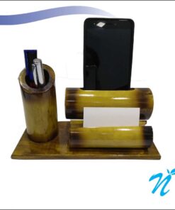 Bamboo Speaker Cum Penstand