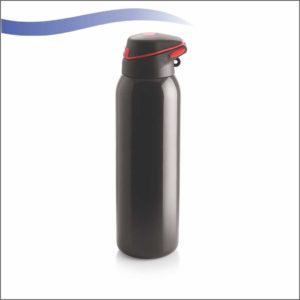 Vacuum Bottle (700 ml)