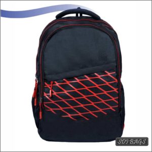 Laptop Backpack with Raincover