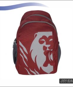 Laptop Backpack