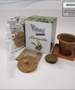 THE PARNIKA - Ashwagandha