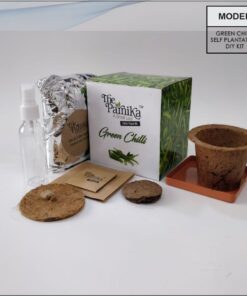 THE PARNIKA - Green Chilli