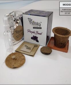THE PARNIKA - Purple Basil
