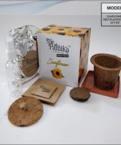 THE PARNIKA - Sunflower Plant