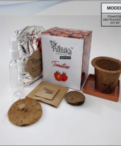 THE PARNIKA - Tomato Plant