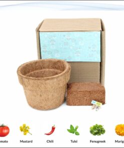 Grow It Yourself Planting Kit