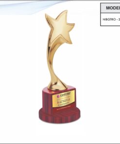 Trophy - 11.5 inches