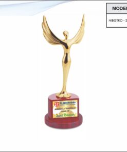 Trophy - 13 inches