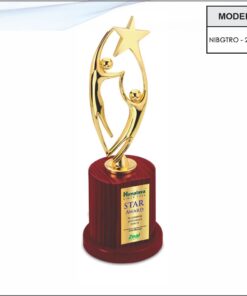 Trophy - 11 inches