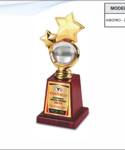 Trophy - 11 inches