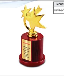 Trophy - 10 inches