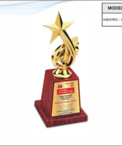 Trophy - 13 inches