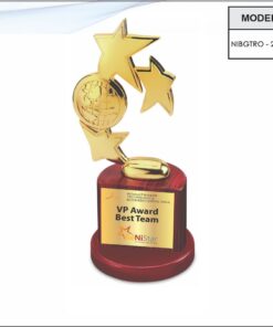 Trophy - 11 inches