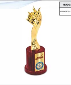 Trophy - 11 inches