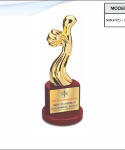 Trophy - 11 inches