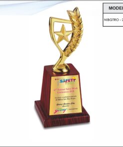 Trophy - 11 inches