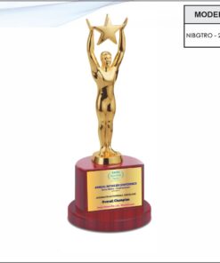 Trophy - 11 inches