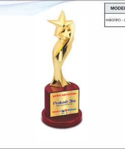 Trophy - 11 inches