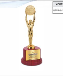 Trophy - 12.5 inches