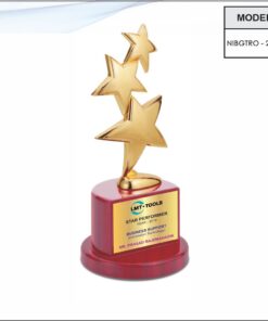 Trophy - 10 inches