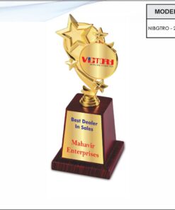 Trophy - 11 inches