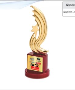 Trophy - 12 inches