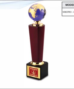 Trophy - 13 inches