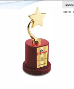 Trophy - 10.5 inches