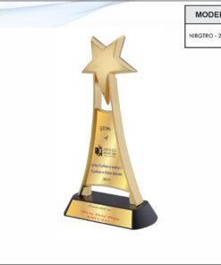 Trophy - 11 inches