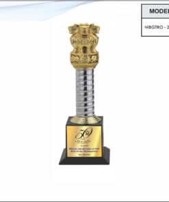 Trophy - 12 inches
