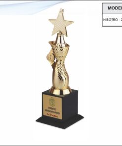 Trophy - 13.5 inches