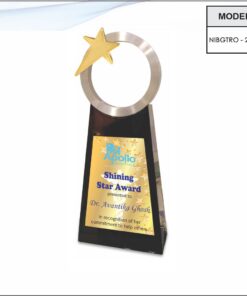 Trophy - 8 inches