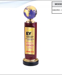 Trophy - 12 inches