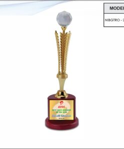 Trophy - 12 inches