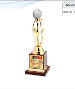 Trophy - 12 inches