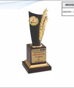 Trophy - 12 inches