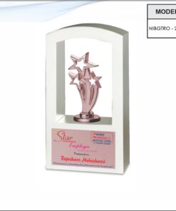 Trophy - 10 inches
