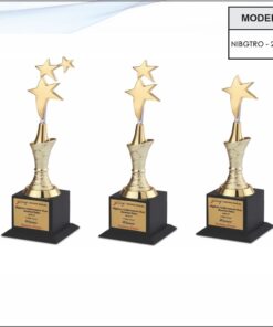 Trophy - 13 inches (Small One)
