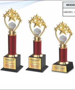 Trophy - 12.5 inches (Small One)