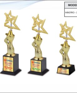 Trophy - 13.5 inches (Small One)