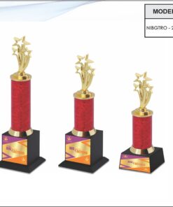 Trophy - 10 inches (Small One)