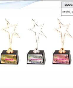 Trophy - 8.5 inches (Copper Finish)