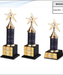 Trophy - 13 inches (Middle One)