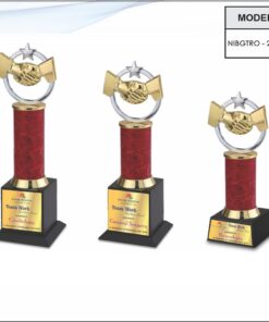 Trophy - 10 inches (Small One)