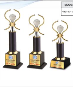 Trophy - 11 inches (Small One)