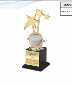 Trophy - 10 inches