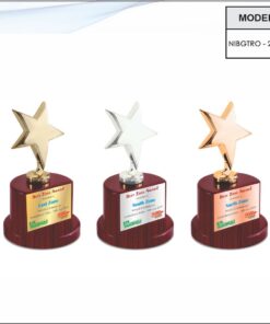 Trophy - 8 inches (Copper Finish)