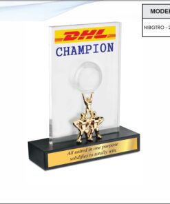 Trophy - 8.5 inches