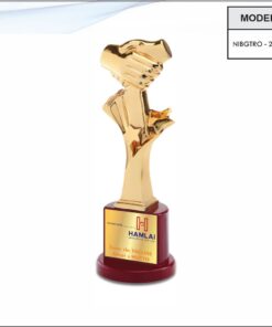 Trophy - 13.5 inches