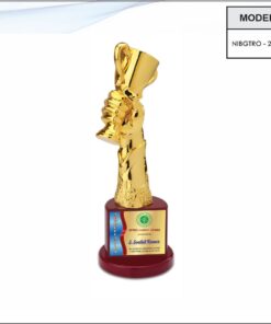 Trophy - 13.5 inches